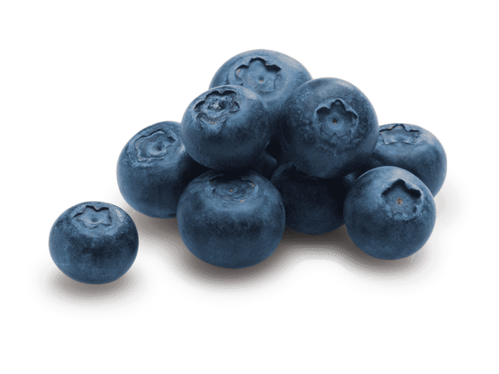 Cotton Candy Blueberry Blue 12.5 kg   